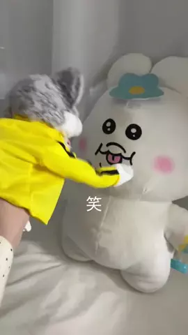 am  7畳のTikTok投稿