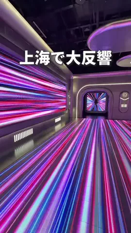 日本一暇な夫婦【りりぼん夫婦】のTikTok投稿