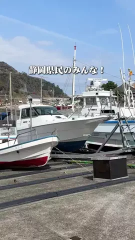 静岡グルメ／SHIZUOKA SELECTのTikTok投稿