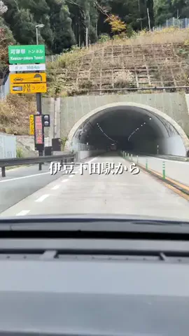 静岡グルメ／SHIZUOKA SELECTのTikTok投稿