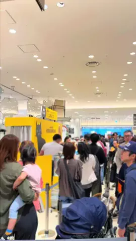 ぎゃらぴかのTikTok投稿