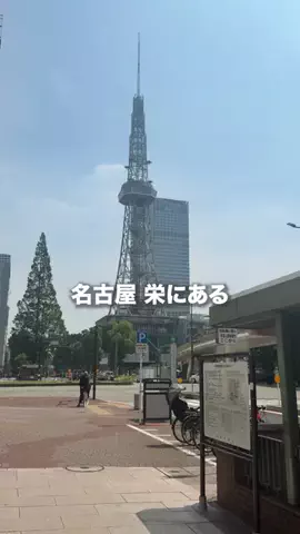 名古屋グルメ【ナゴグル】🍤のTikTok投稿
