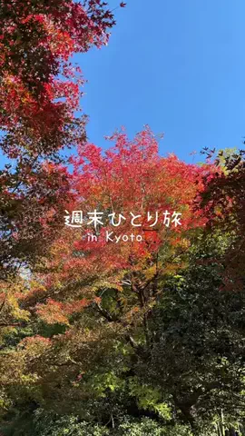 美羽のTikTok投稿