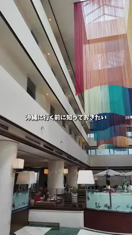 キンベル|格安旅行案内人のTikTok投稿