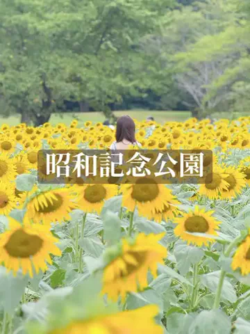 mino | 旅行とホテルのTikTok投稿