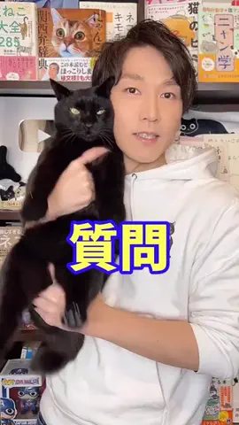 猫の先生＠タケのTikTok投稿