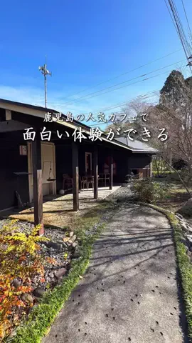 ポポの休日🌿鹿児島&九州旅🐕のTikTok投稿