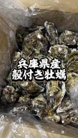 ainewspandaのTikTok投稿
