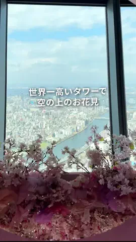 フウタ | 休日の癒し旅のTikTok投稿