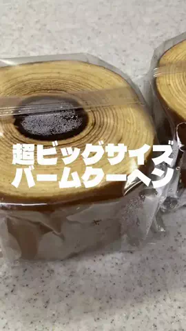 ainewspandaのTikTok投稿
