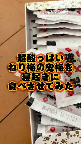 ainewspandaのTikTok投稿