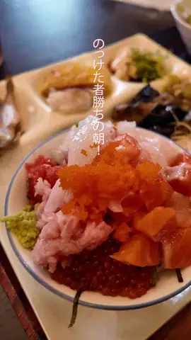 🍙りっぴー✈️のTikTok投稿