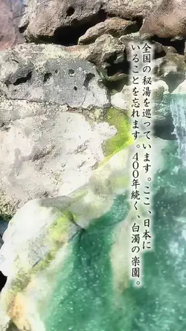 Fuki Fu-campのTikTok投稿