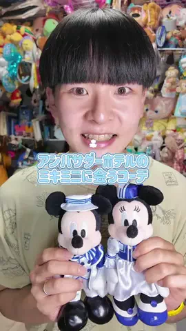 ぴろのディズニー日記 / PIRO DisneyのTikTok投稿