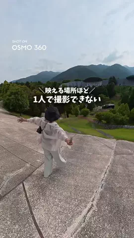 ぎふのことのTikTok投稿