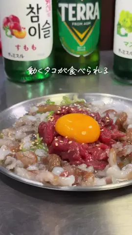たくぽん | 川崎グルメのTikTok投稿