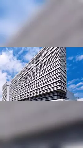 ハムチーズのTikTok投稿