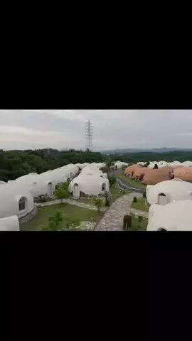 ハムチーズのTikTok投稿