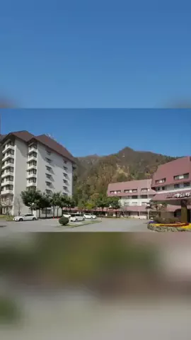 ハムチーズのTikTok投稿