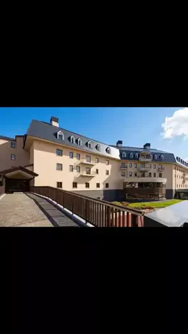 ハムチーズのTikTok投稿