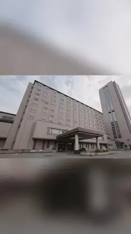 ハムチーズのTikTok投稿