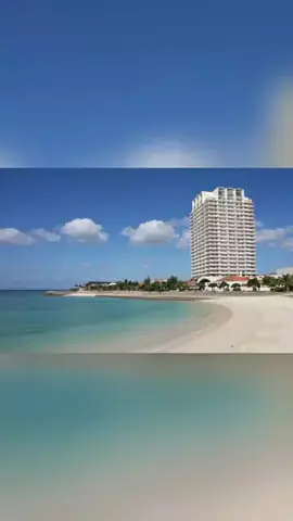 ハムチーズのTikTok投稿