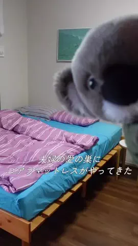 もやもやcloud☁️のTikTok投稿