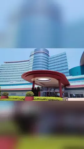 ハムチーズのTikTok投稿
