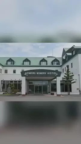 ハムチーズのTikTok投稿
