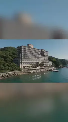 ハムチーズのTikTok投稿