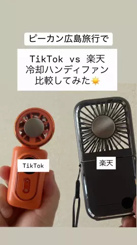 限界ひとり旅 | まくら５個派✈️のTikTok投稿