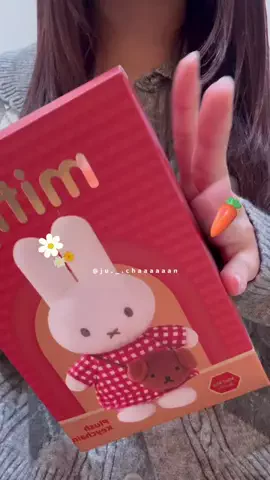 じゅっちゃんのTikTok投稿