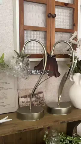 salut_emiのTikTok投稿