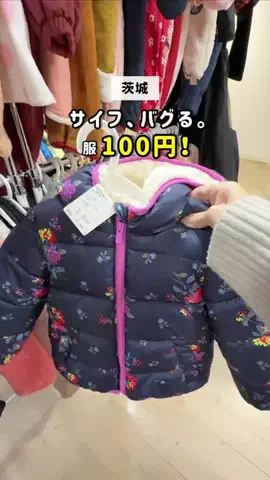 茨城ガイド📕あせこ【お出かけ・グルメ・観光・イベント】のTikTok投稿