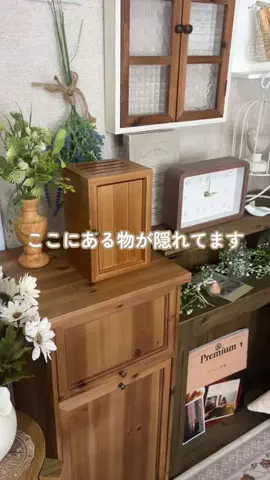 salut_emiのTikTok投稿
