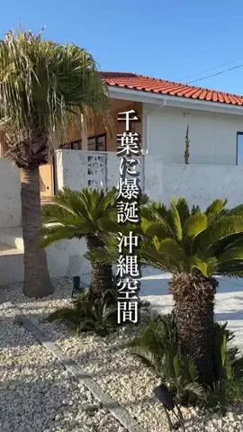 千葉グルメのTikTok投稿