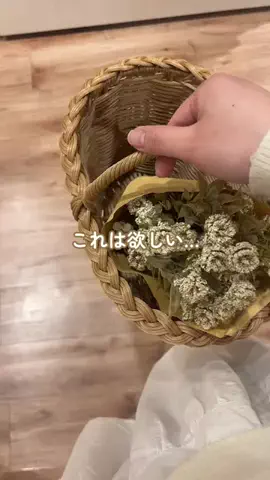 salut_emiのTikTok投稿