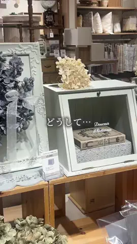 salut_emiのTikTok投稿