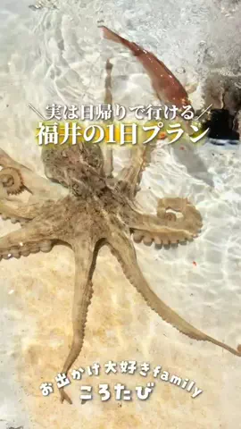 ころたびのTikTok投稿