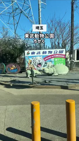 茨城ガイド📕あせこ【お出かけ・グルメ・観光・イベント】のTikTok投稿