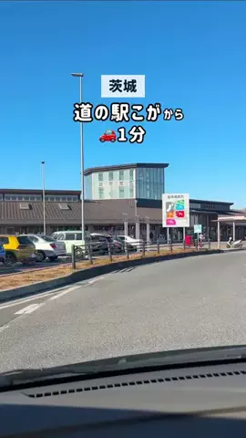 茨城ガイド📕あせこ【お出かけ・グルメ・観光・イベント】のTikTok投稿