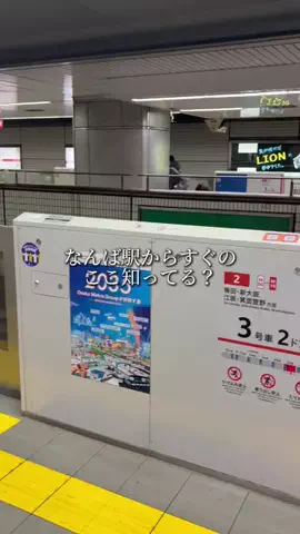 山本のハンバーグ京都河原町のTikTok投稿