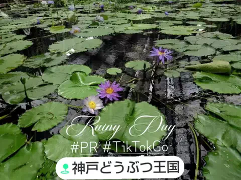 kazamakizunaのTikTok投稿