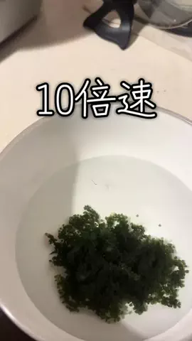 夢のaya🫶のTikTok投稿