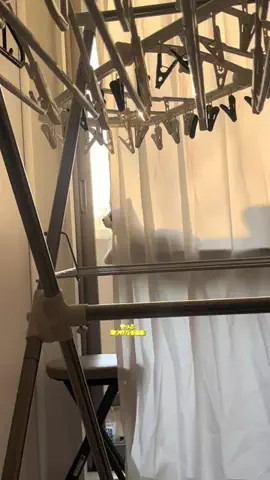 ねこのそうちゃんですのTikTok投稿
