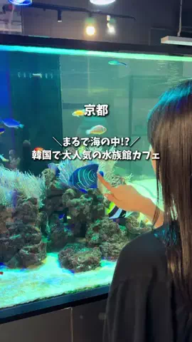 まさかなI 電車で行く大阪デート👟のTikTok投稿