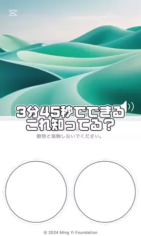セレのTikTok投稿
