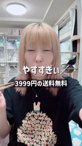ひかる🎀山田さんちは猫まみれのTikTok投稿