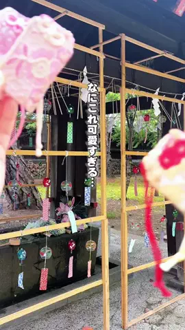 nobu_odekakeのTikTok投稿