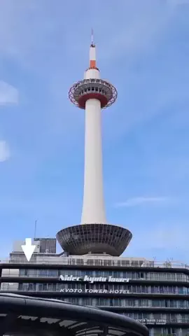 ルーク | 南丹市移住準備中のTikTok投稿